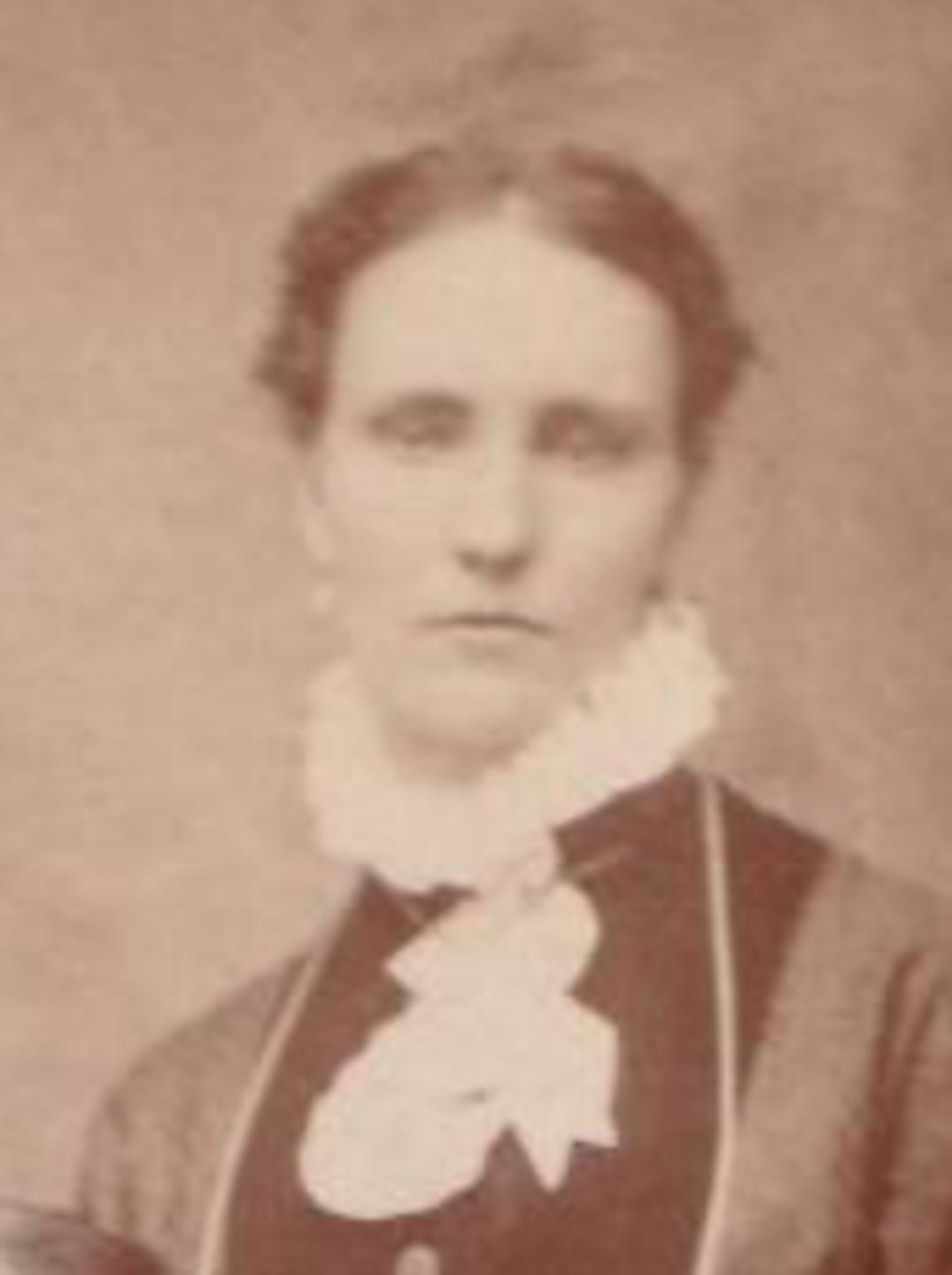 Artimesia Caroline Lemmon (1847 - 1915) Profile
